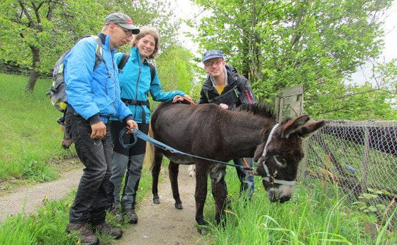 Ponywanderung von 5. bis 9. Mai 2014