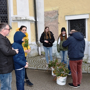 Palmbuschenverkauf