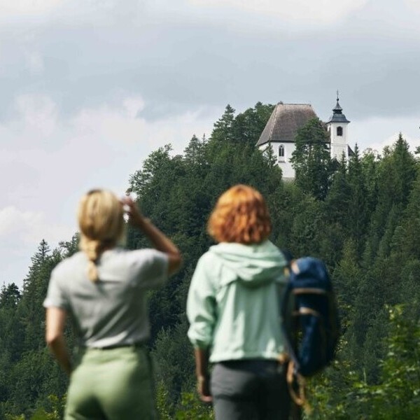 Wandern am Sebaldusweg / © OÖTourismusTVBSteyrNationalparkRegion_StefanMayerhofer Wandern am Sebaldusweg