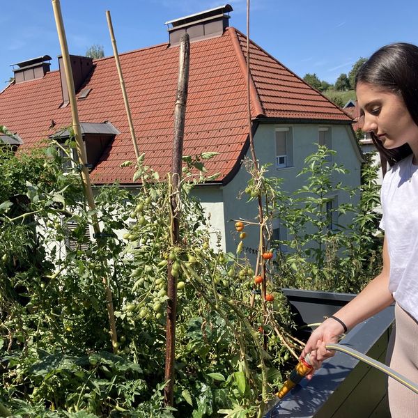 Gartenworkshop