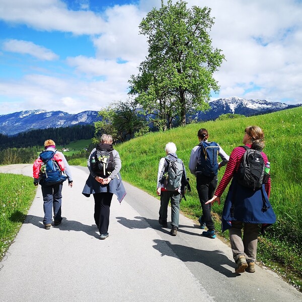 Pilgerwanderung / Ulrike Hoffmann Pilgerwanderung