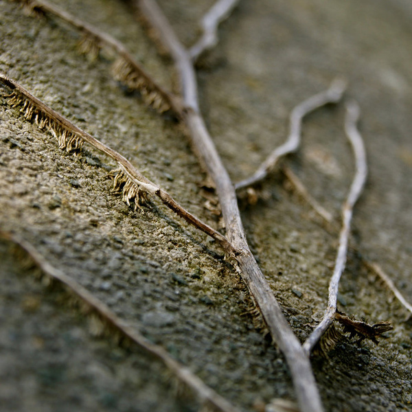 Krankheit / © weinstock/pixabay.com/Pixabay License Krankheit